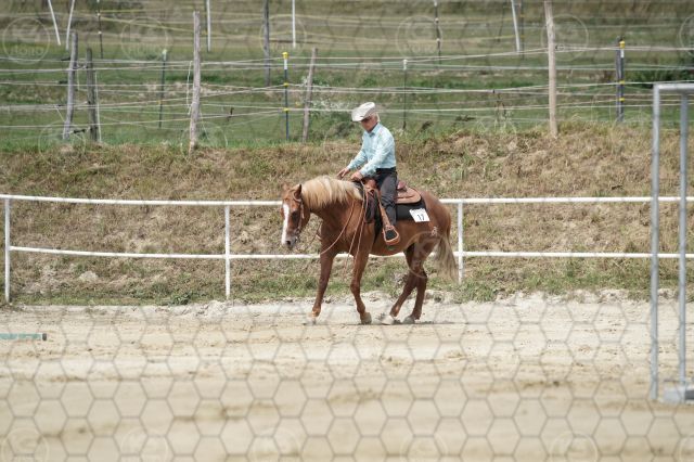 s_K3F06778.JPG